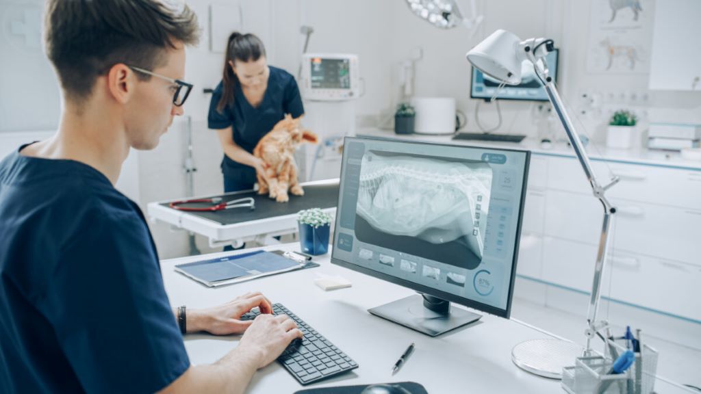Digital X-Rays for Pets in Brooklyn, NY