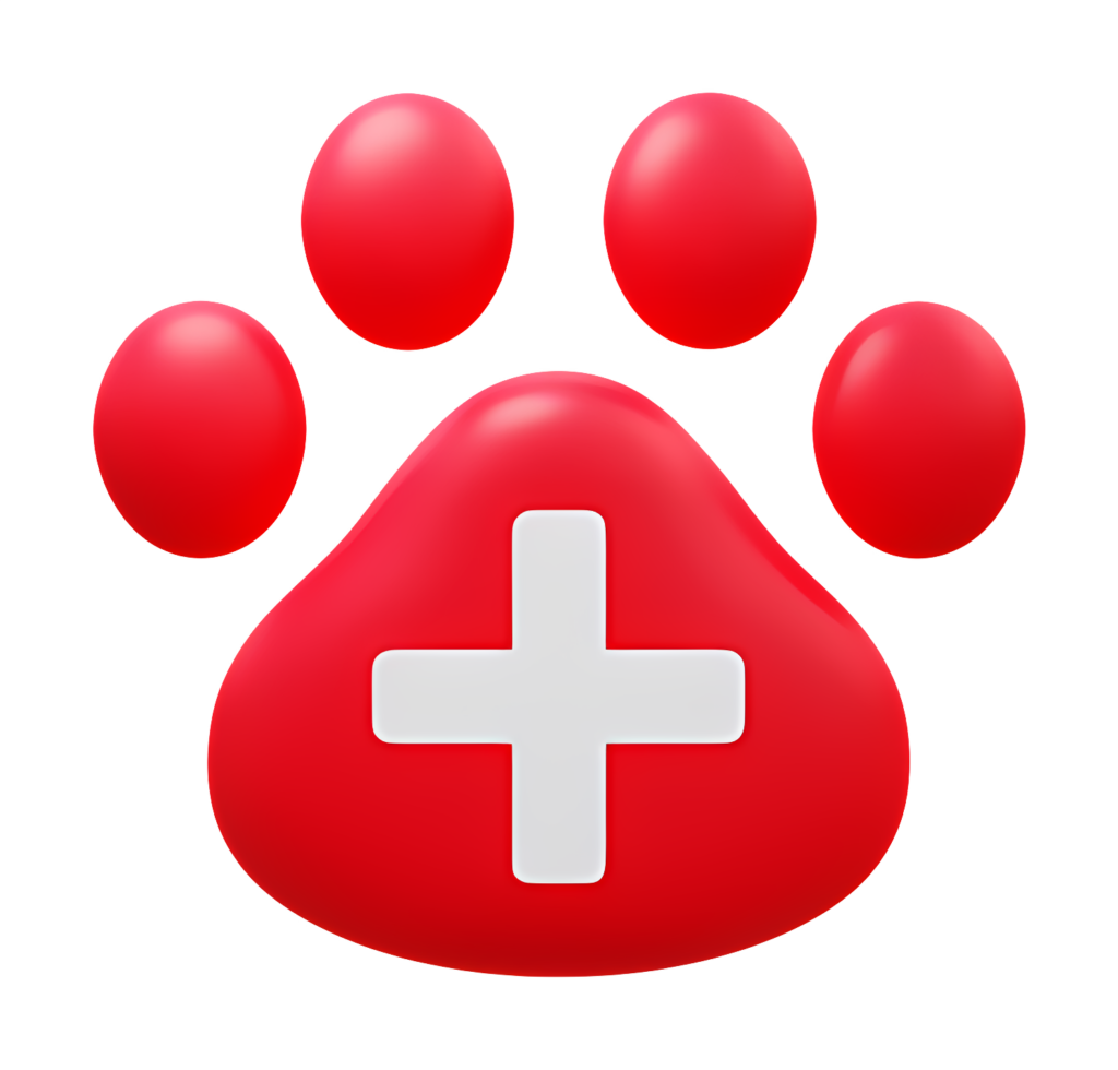 Emergency Veterinary Care in greenpoint